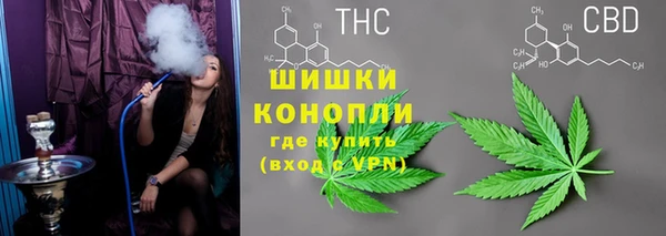 ALPHA PVP Белокуриха