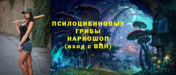 амф Богданович