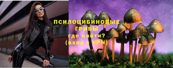 экстази Богородицк